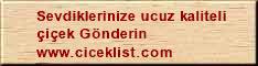 çiçek , çiçekçi , çiçekçiler  